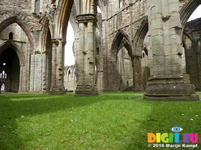 FZ028624 Shadows and light in Tintern Abbey